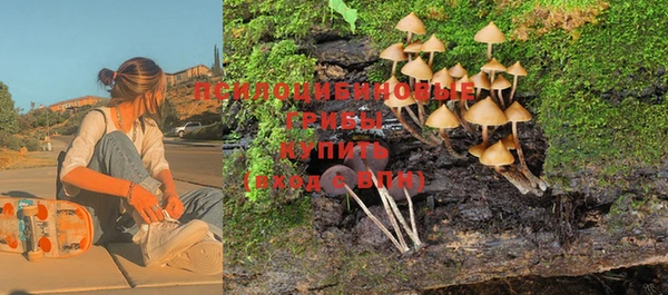 хмурый Алзамай