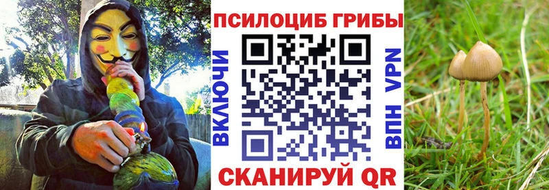 Псилоцибиновые грибы Cubensis  Лагань 